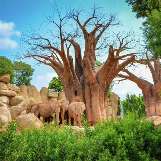 Bioparc Valencia