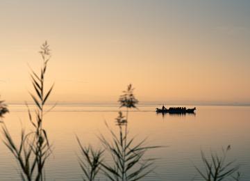 L’Albufera