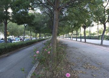 avenida de las cortes valencianas