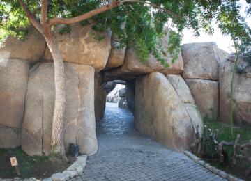 Rocas del Bioparc