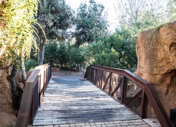 Puente dentro del Bioparc