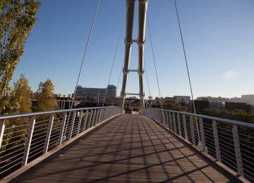 Puente de acceso al Bioparc