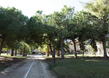 Pista entre árboles de los jardines del turia