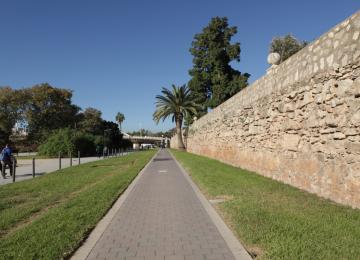 Carril bici de los jardines del turia