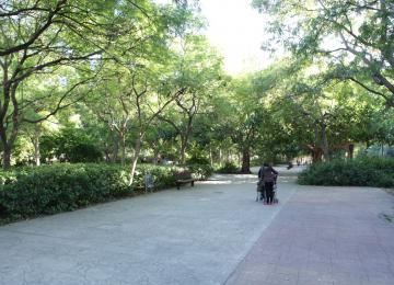 Camino entre arboleda de los jardines del turia