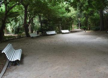 Zona a la sombra con bancos del jardín botánico