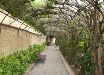 Paseo cubierto de los jardines de monforte