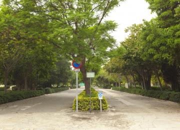 Paseo principal de los jardines de viveros