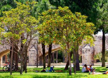 Jardines del turia con árboles y puente de piedra al fondo