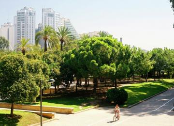 Jardines del Turia con edificios altos al fondo