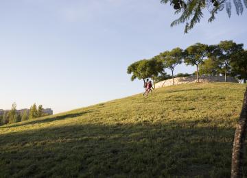 Colina del parque de cabecera