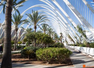 Vista interior del umbracle