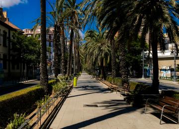 avenida reino de vlc