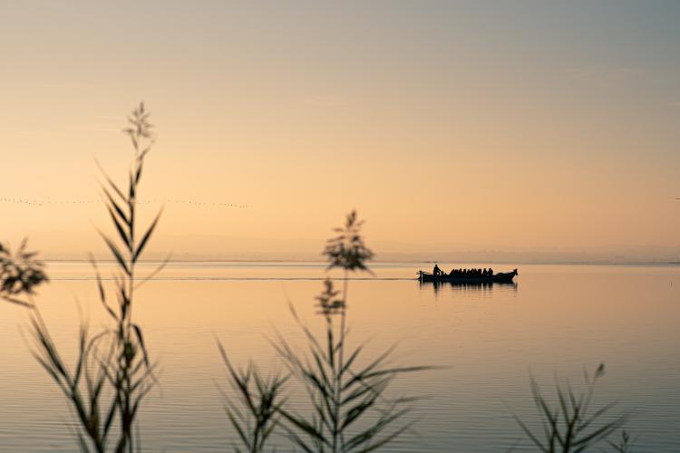 L’Albufera