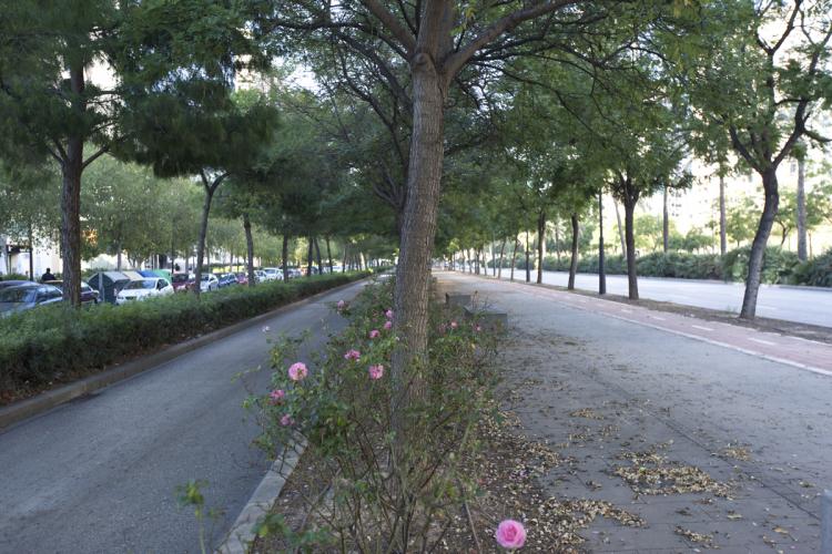 avenida de las cortes valencianas