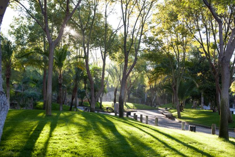 Jardines del Bioparc