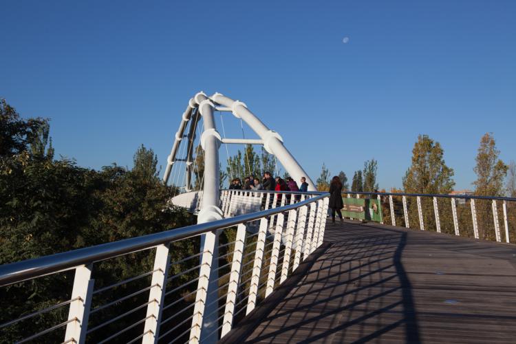 Puent de acceso al Bioparc