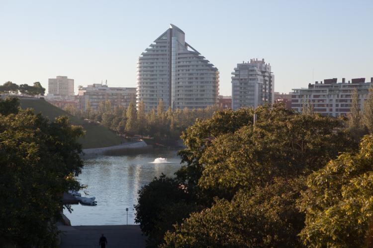 Vista área del lago del Bioparc con edificios al fondo