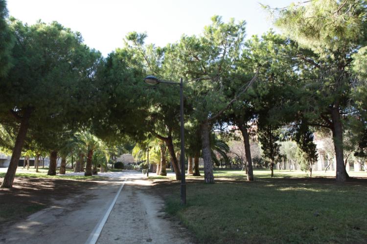 Pista entre árboles de los jardines del turia