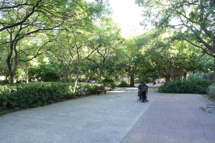 Camino entre arboleda de los jardines del turia