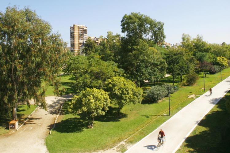 Vista área de los jardines del turia