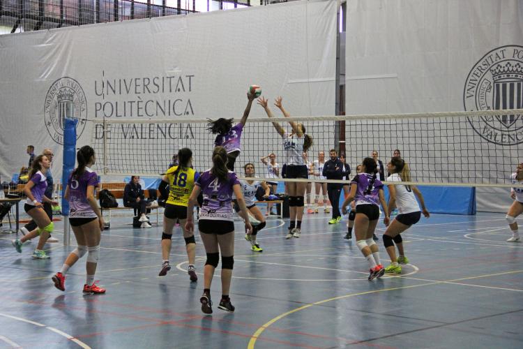 volley upv