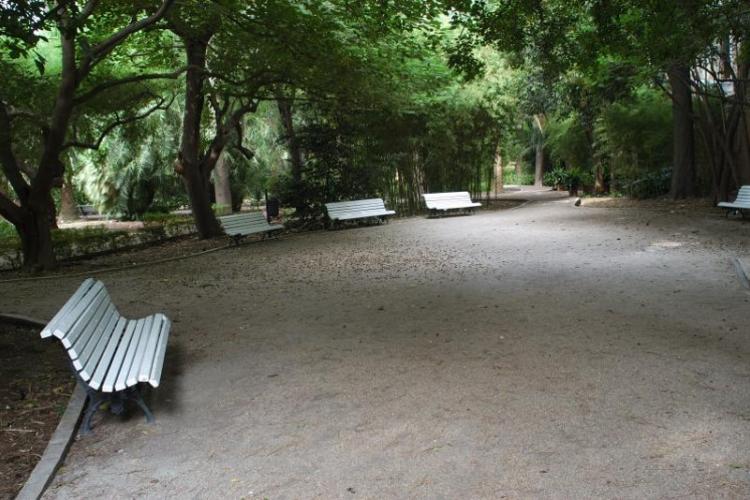 Zona a la sombra con bancos del jardín botánico