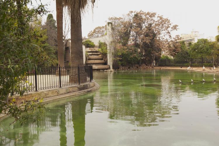 Lago de los jardines de viveros