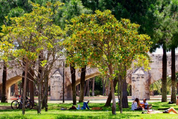 Jardines del turia con árboles y puente de piedra al fondo