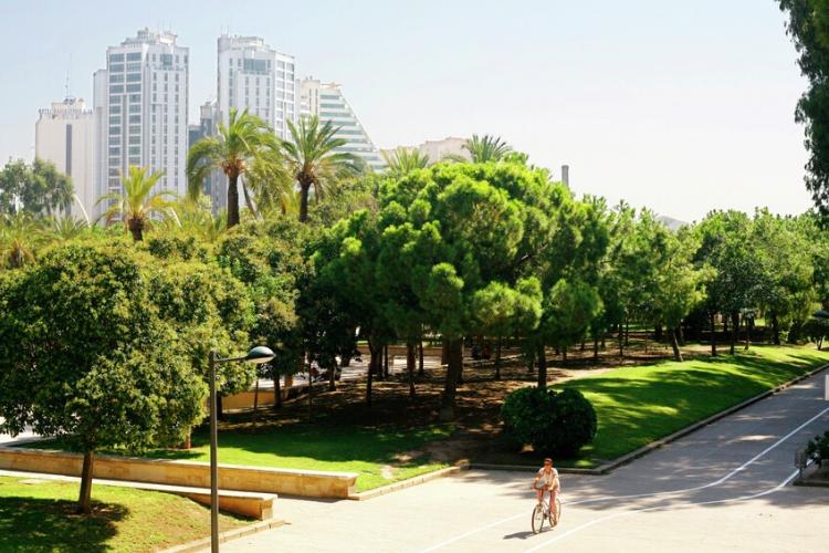 Jardines del Turia con edificios altos al fondo