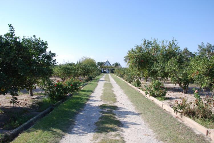 Barraca