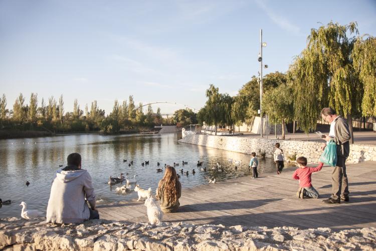 Orilla del lago del parque de cabecera