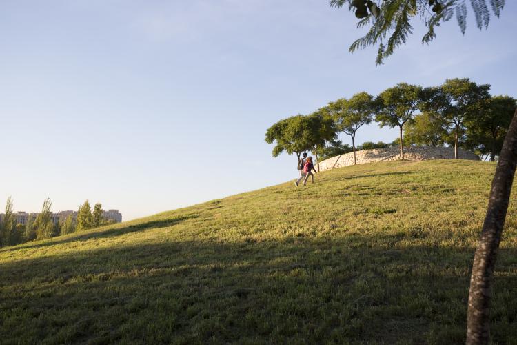 Colina del parque de cabecera