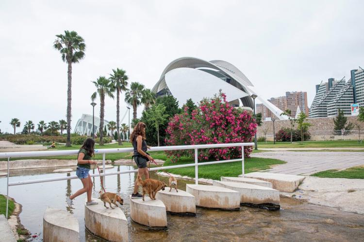 Personas atravesando el puente de un canal de los jardines del turia