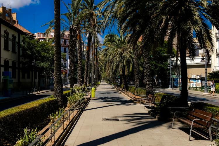 avenida reino de vlc